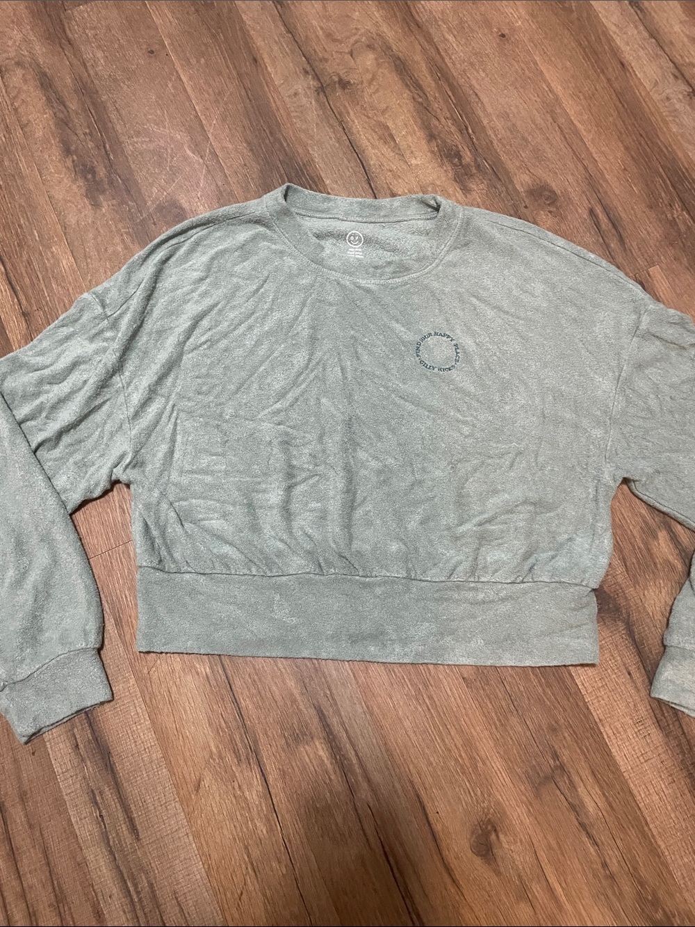 Gilly Hicks Sage Cropped Crewneck Sweater